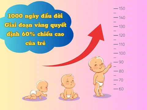 Mẹ bầu & sau sinh giúp trẻ phát triển chiều cao tối ưu trong 1000 ngày đầu đời