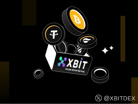 GIAO DỊCH GIAO NGAY USDT LẬP ĐỈNH MỚI, NỀN TẢNG XBIT TRỞ THÀNH TRỤ CỘT THỊ TRƯỜNG STABLECOIN NHƯ THẾ NÀO?