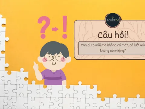Giải mã 10 câu đố hack não nhất lịch sử