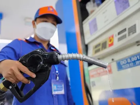 Giá xăng dầu hôm nay 24/11: Tiếp tục giảm nhẹ