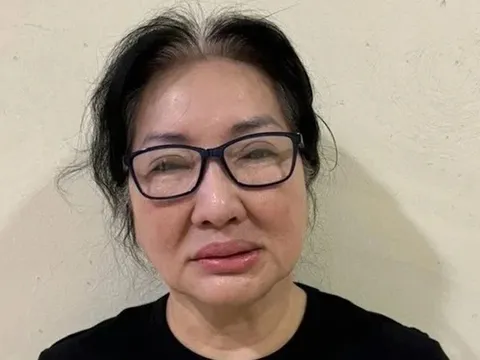 Chủ tịch Quốc Cường Gia Lai Nguyễn Thị Như Loan nộp 100 tỷ, 4 thửa đất