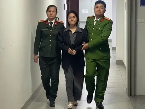 Lời khai của giám đốc công ty tổ chức show 'Về đây bốn cánh chim trời'