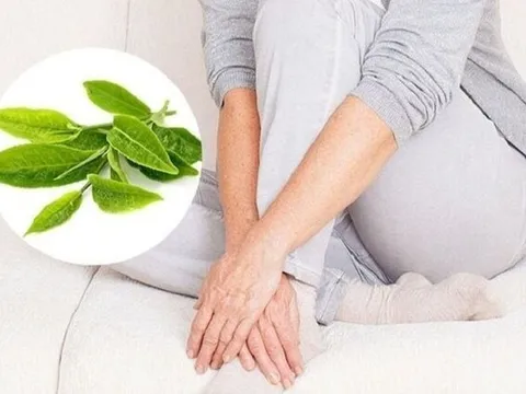 Chữa bệnh phụ khoa khỏi hẳn bằng Đông Y