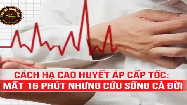 Clip: Cách hạ huyết áp cấp tốc cực đơn giản bạn nhất định phải biết