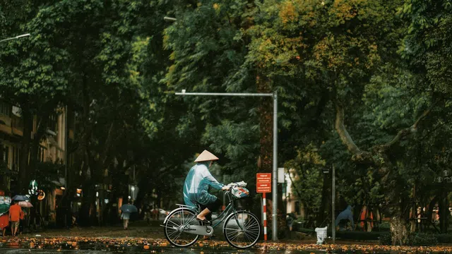 Dự báo thời tiết ngày 14/10: Hà Nội có mưa nhẹ kéo dài 3 ngày