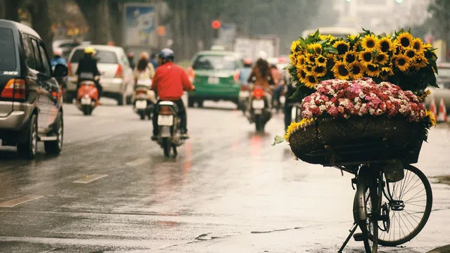 Dự báo thời tiết thứ 5 ngày 24-10-2019: Gió mùa Đông Bắc tràn về, Bắc bộ chuyển lạnh về đêm và sáng