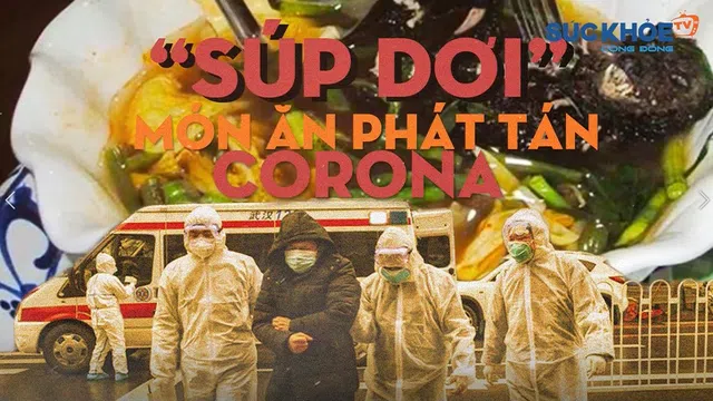 Súp dơi - món ăn  nguồn gốc phát tán virus corona 