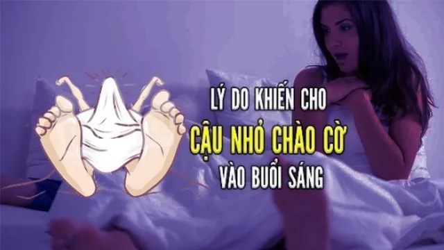 Vì sao cậu nhỏ của nam giới " chào cơ " vào mỗi buổi sáng ?