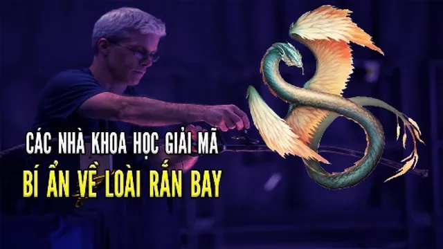 Các nhà khoa học giải mã bí ẩn loài rắn có khả năng bay như chim