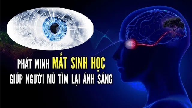 Mắt sinh học nhân tạo giúp người mù nhìn rõ hơn cả người bình thường