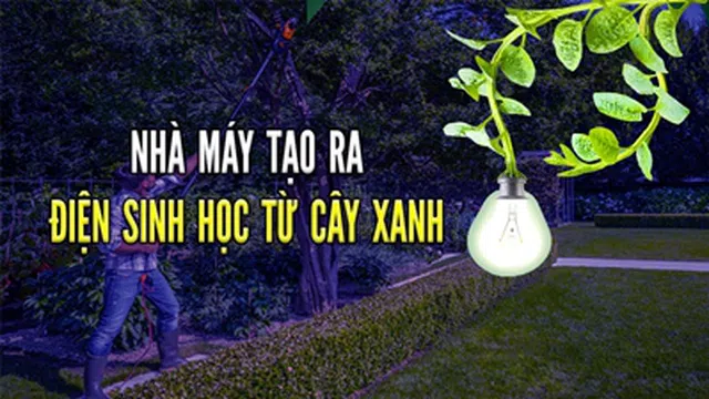 Các nhà khoa học tìm ra cách khai thác điện sinh học trong cây cối để sử dụng