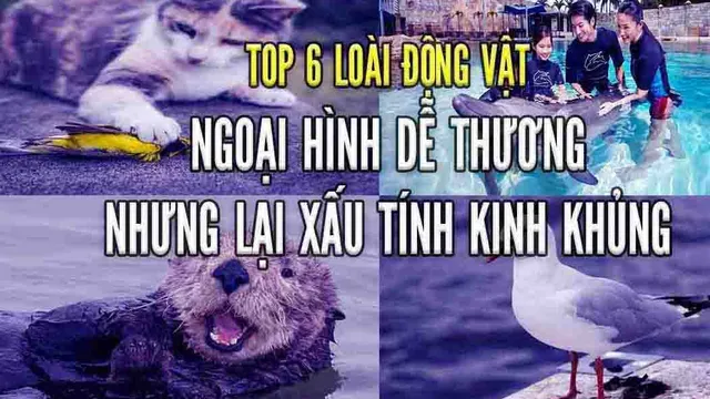 6 loài động vật có ngoại hình dễ thương nhưng nội tâm xấu xí không tưởng