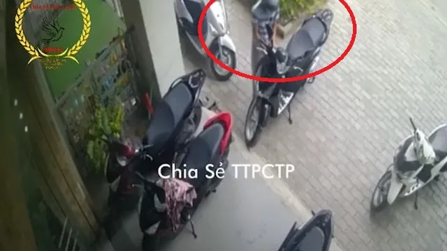 Clip: Kẻ gian phá khóa lấy trộm xe SH dựng trước cửa hàng chỉ trong 3 giây