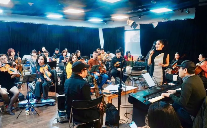 Diva Hồng Nhung, Hà Trần không nhận được cát-xê, đau lòng khi đêm nhạc bị hủy